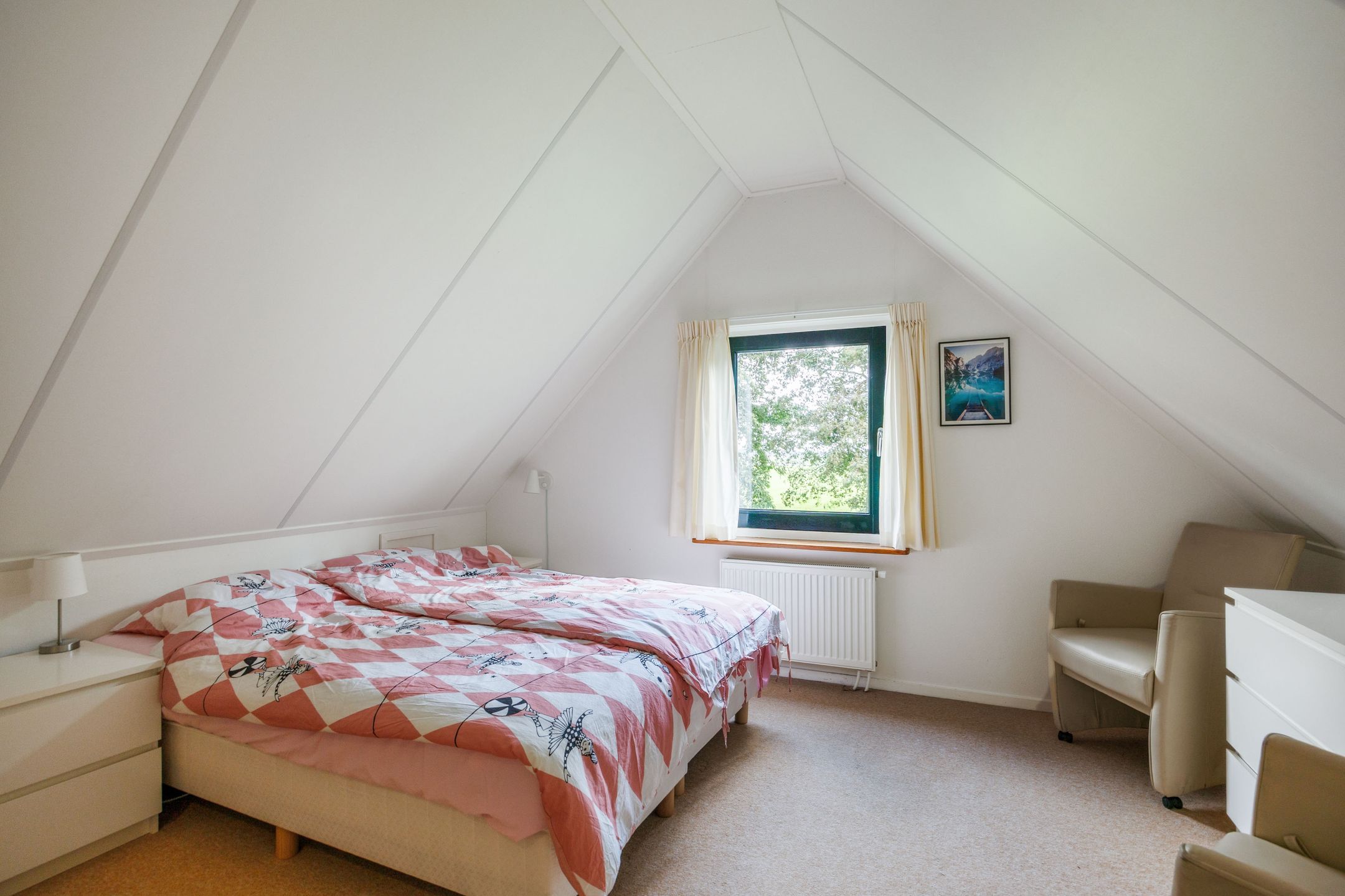 Photo 39 of Bargereed 104