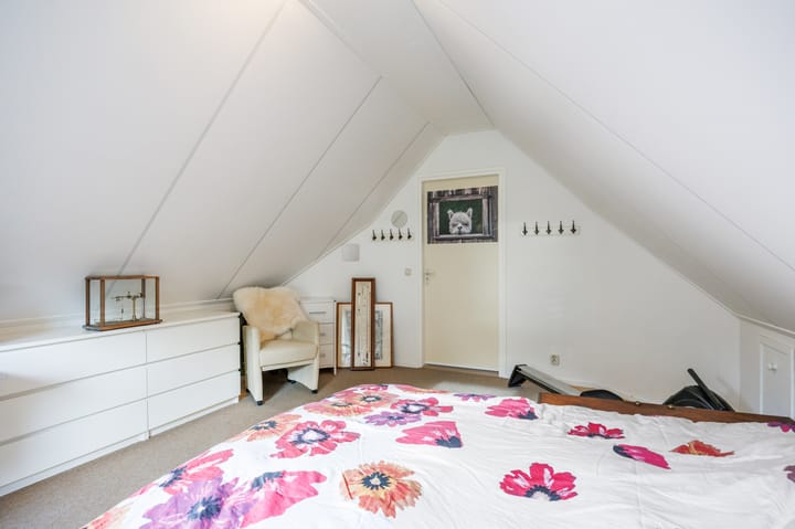 Photo 42 of Bargereed 104