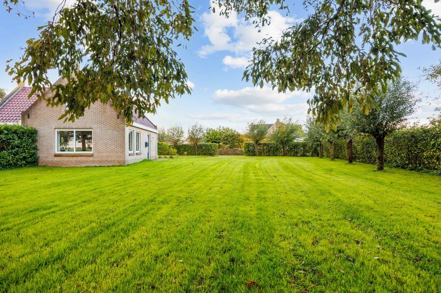 Photo 44 of Bargereed 104