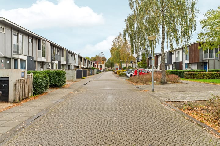 Foto 31 van Jan van Goyenstraat 40