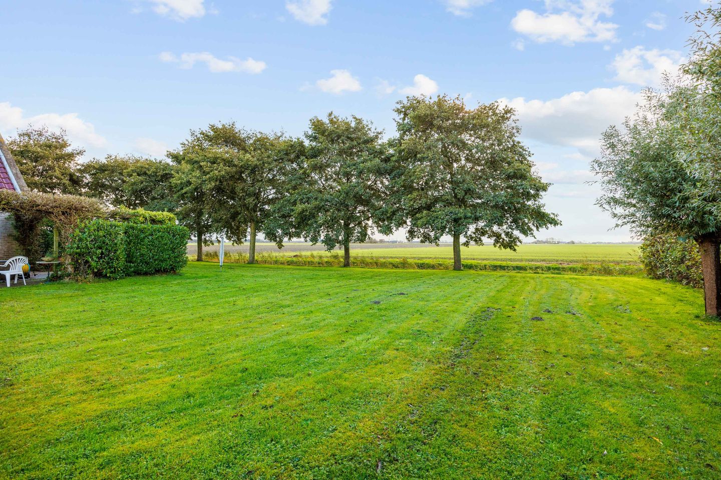 Photo 49 of Bargereed 104