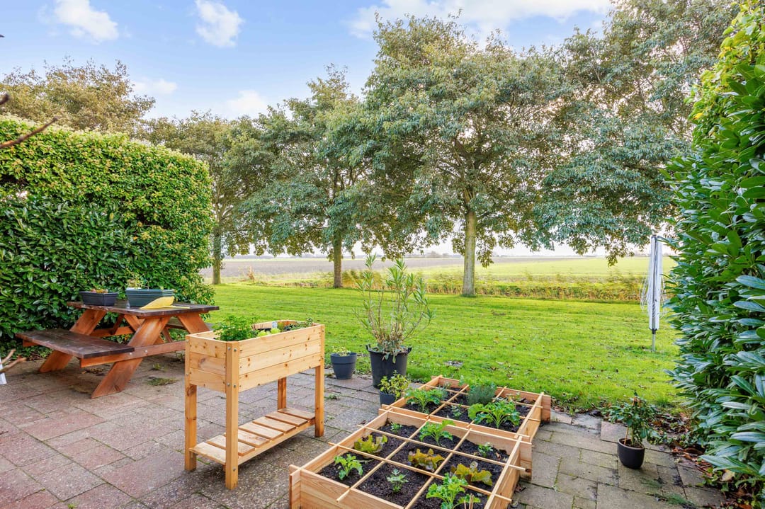 Photo 53 of Bargereed 104