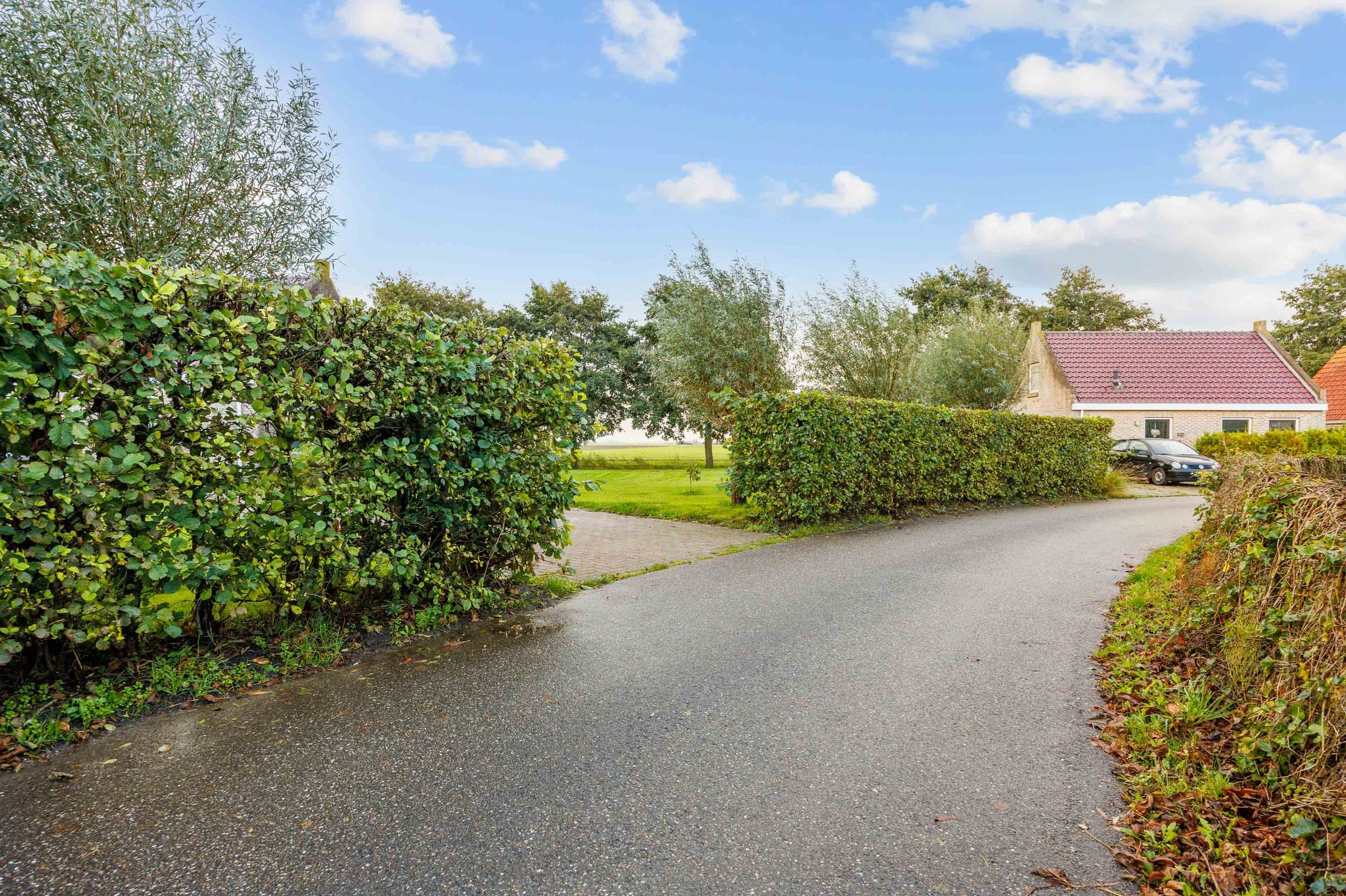 Photo 54 of Bargereed 104