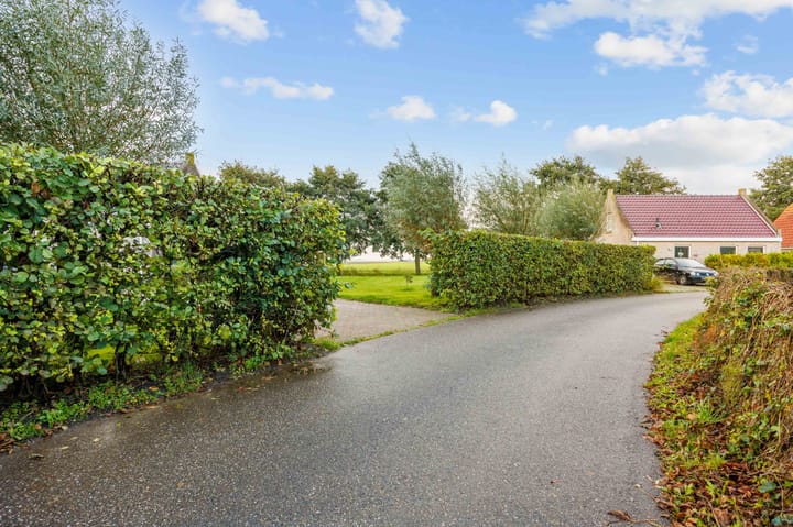 Photo 54 of Bargereed 104