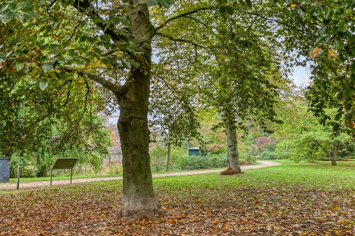 Foto 25 van Levendaal 129-A