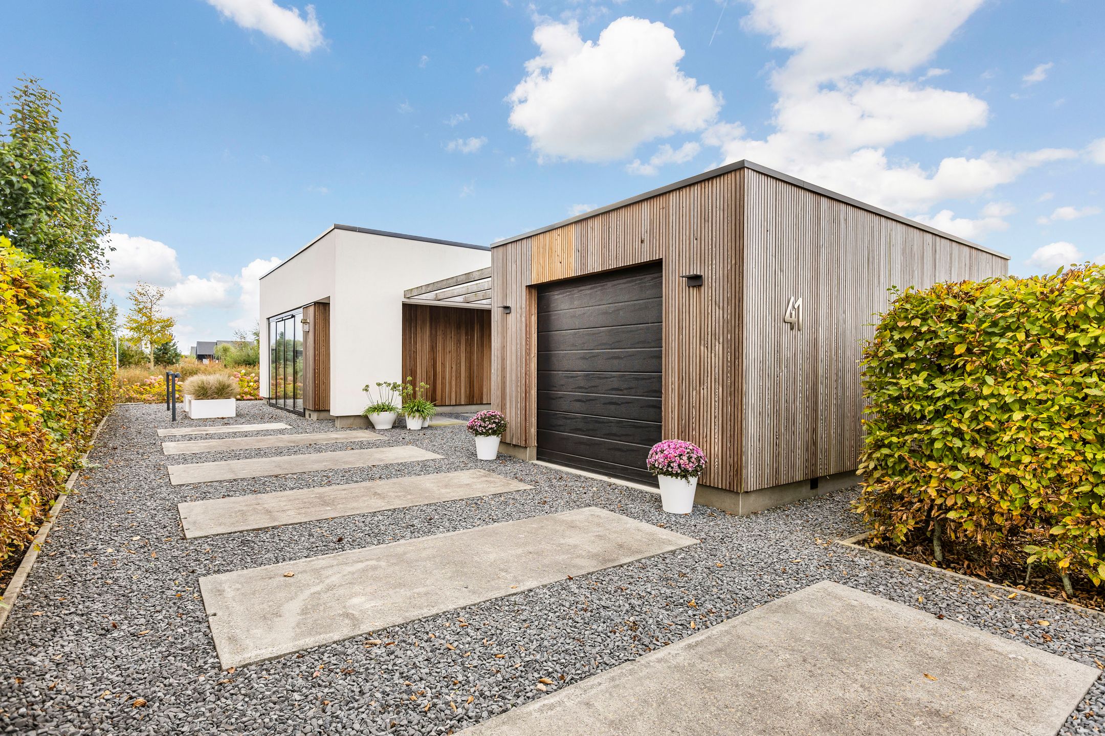 Foto 6 van Misthoorn 41