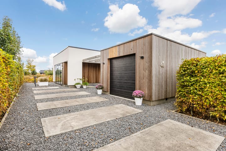 Foto 6 van Misthoorn 41