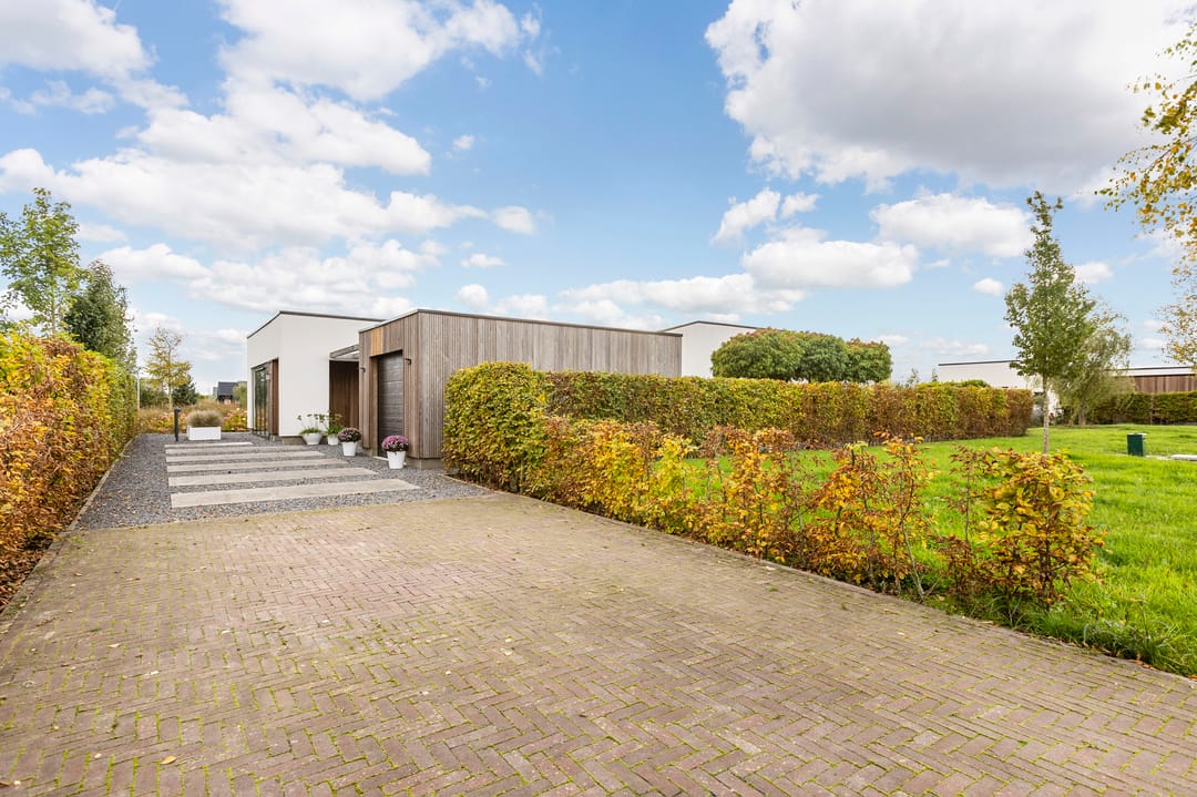 Foto 7 van Misthoorn 41