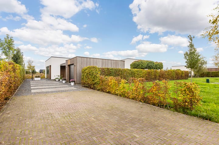 Foto 7 van Misthoorn 41