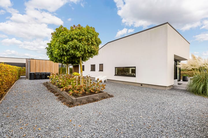 Foto 10 van Misthoorn 41