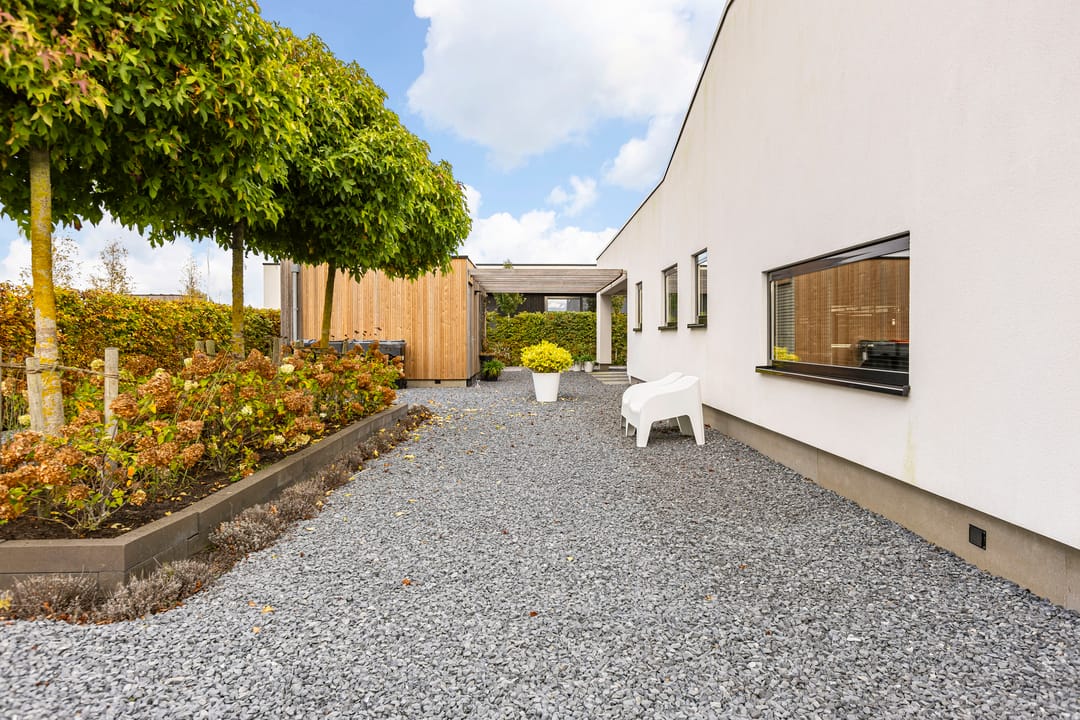 Foto 11 van Misthoorn 41