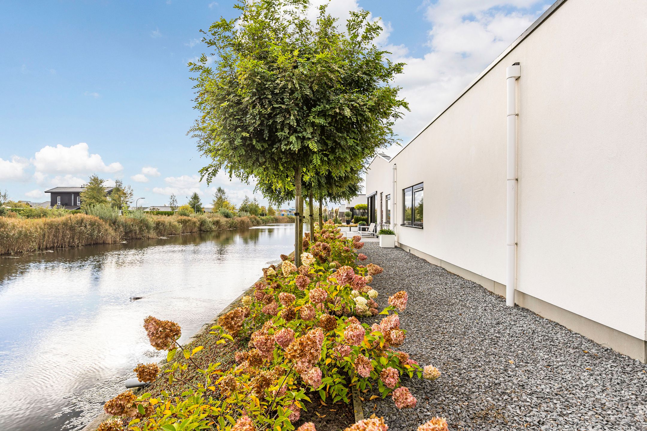 Foto 12 van Misthoorn 41