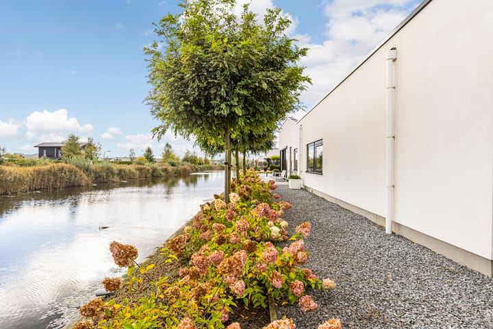 Foto 12 van Misthoorn 41