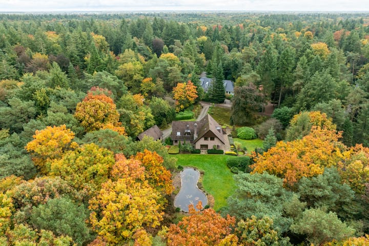 Foto 2 van Dennenlaan 9