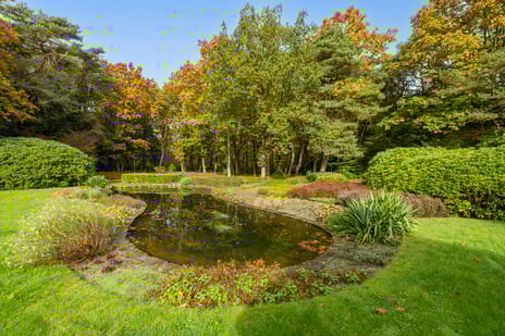 Dennenlaan 9 tertiary image