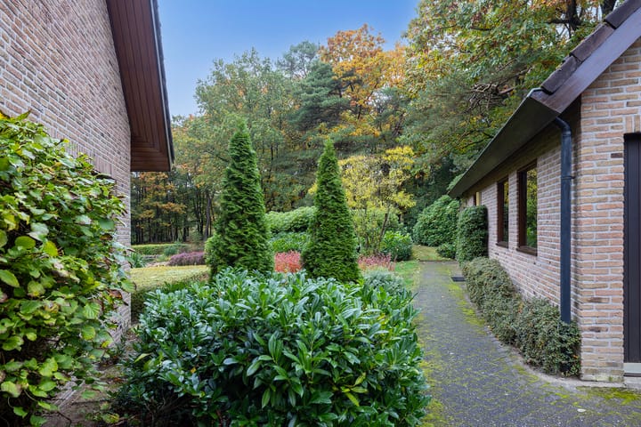 Foto 45 van Dennenlaan 9