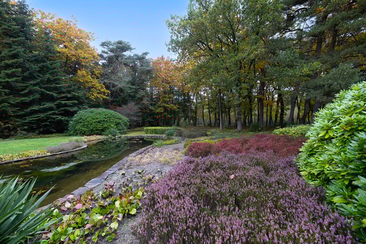 Foto 48 van Dennenlaan 9