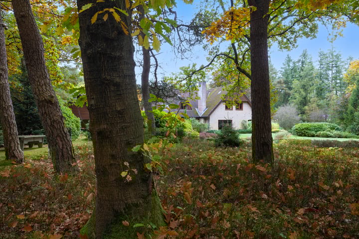 Foto 49 van Dennenlaan 9