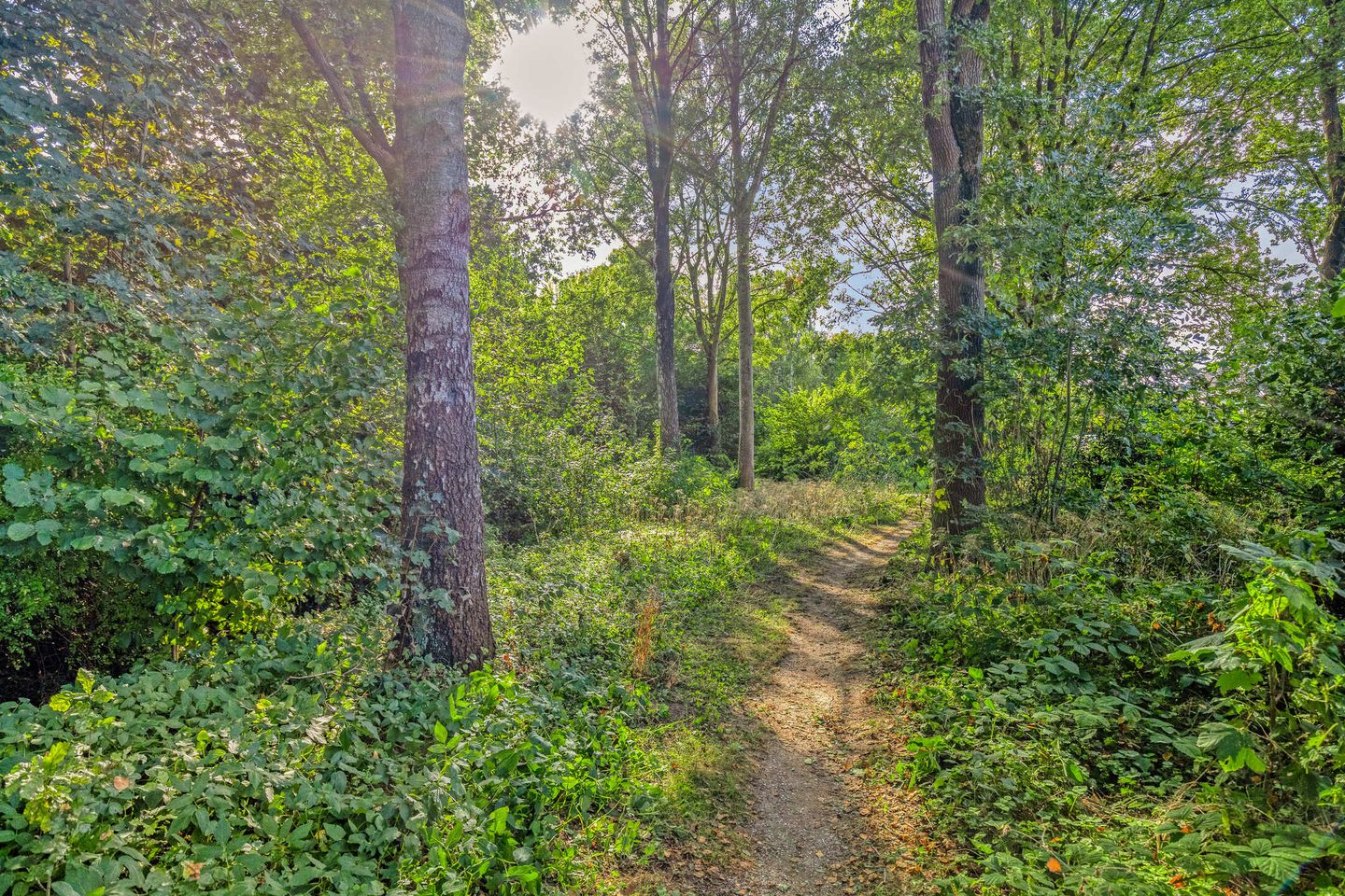 Foto 35 van Kringgreppelstraat 81