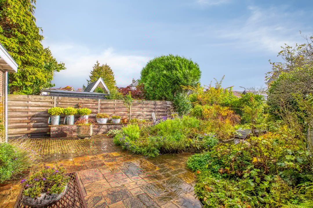 Foto 38 van Schaapsdrift Overbeek 9