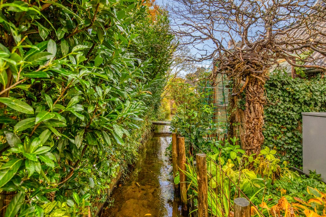 Foto 41 van Schaapsdrift Overbeek 9