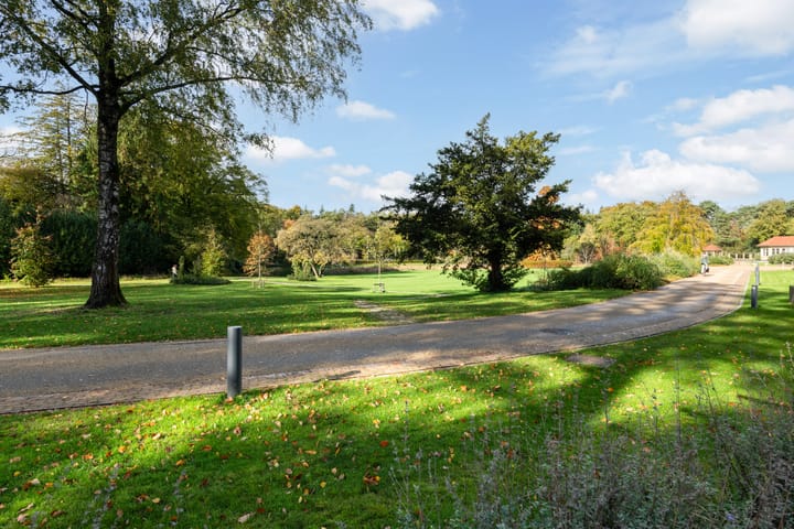 Foto 52 van Hooge Riet 11