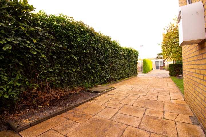 Foto 6 van Hertog Albrechtstraat 24