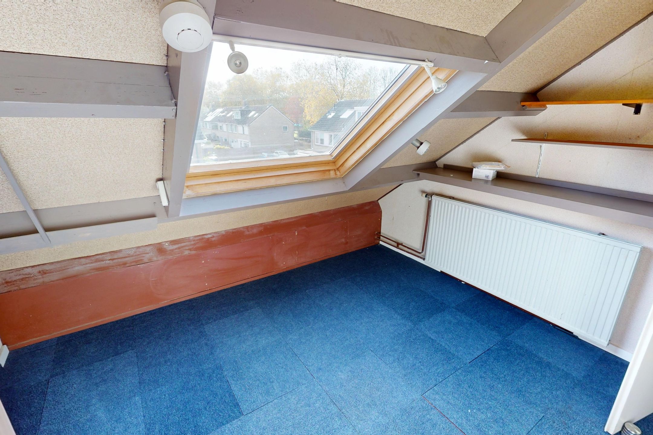 Photo 45 of Hertog Albrechtstraat 24