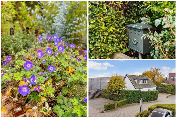 Photo 8 of Beckeringhstraat 19