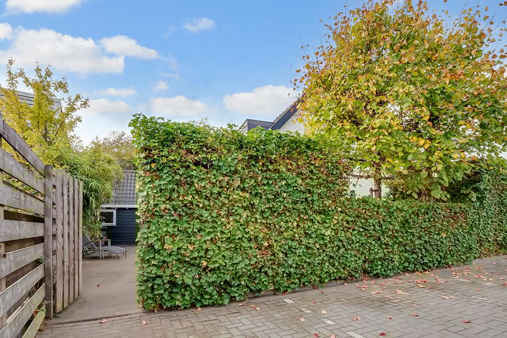 Photo 29 of Beckeringhstraat 19