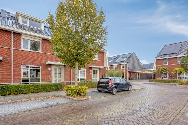 Foto 5 van Vissen 21