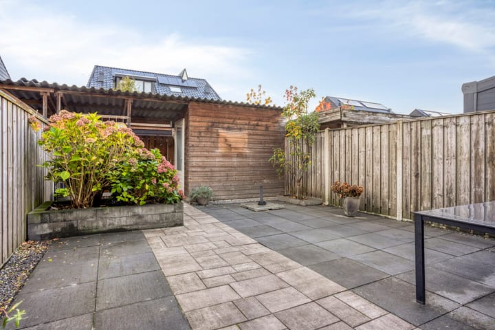 Foto 24 van Vissen 21