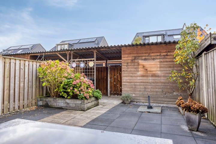 Foto 25 van Vissen 21