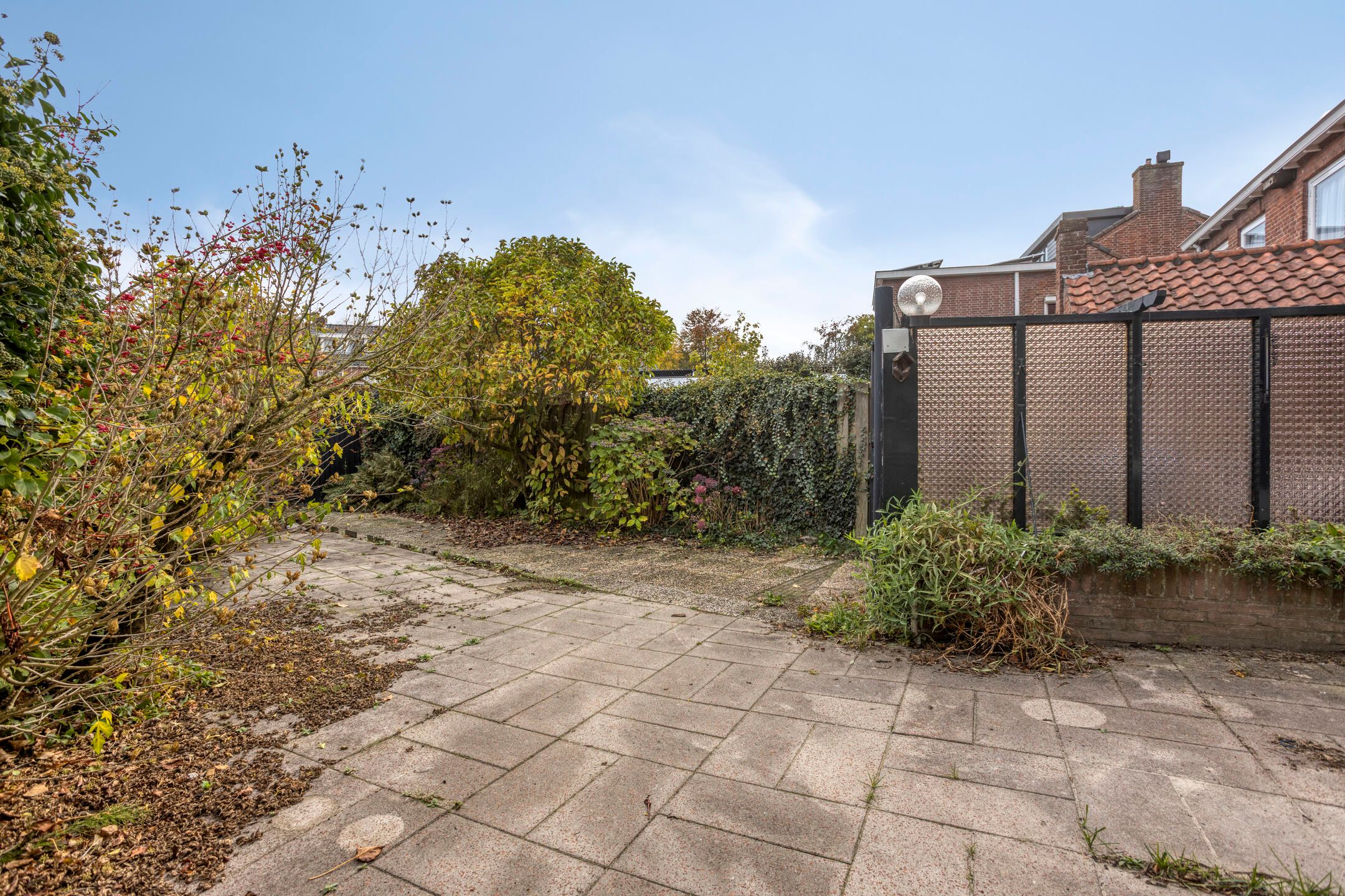 Foto 21 van Beukendreef 3