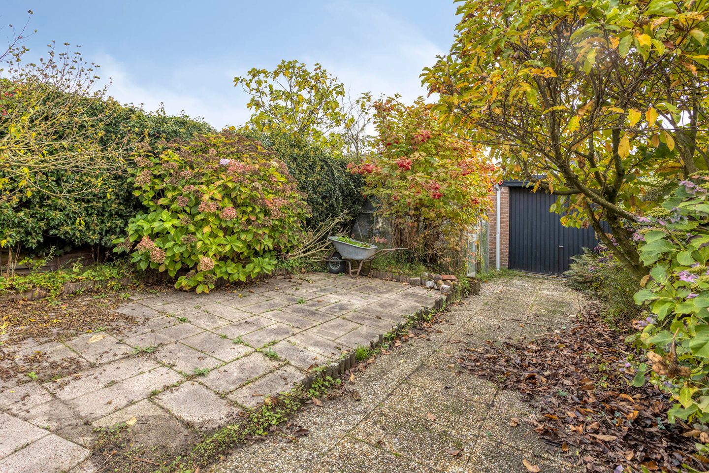 Foto 5 van Beukendreef 3