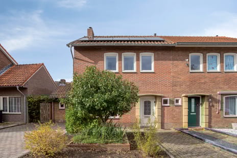 undefined main image