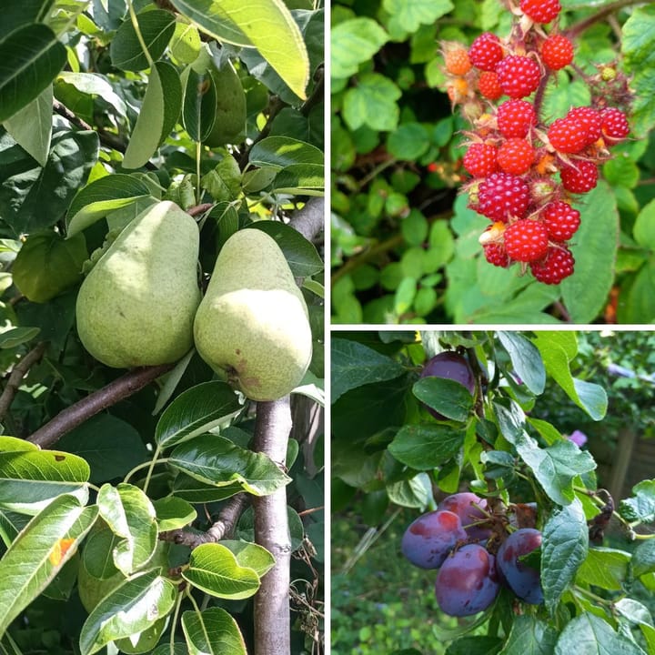 Foto 41 van Pastoriedijk 158