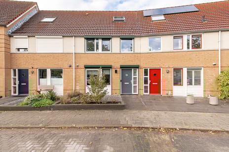 undefined main image