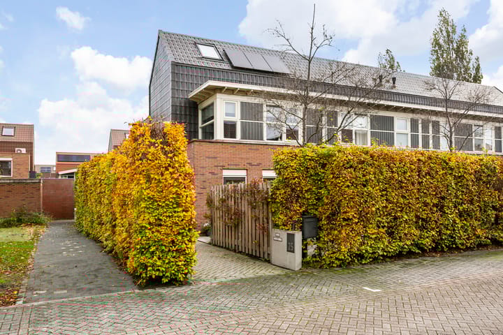 Foto 5 van Citroenvlinder 25