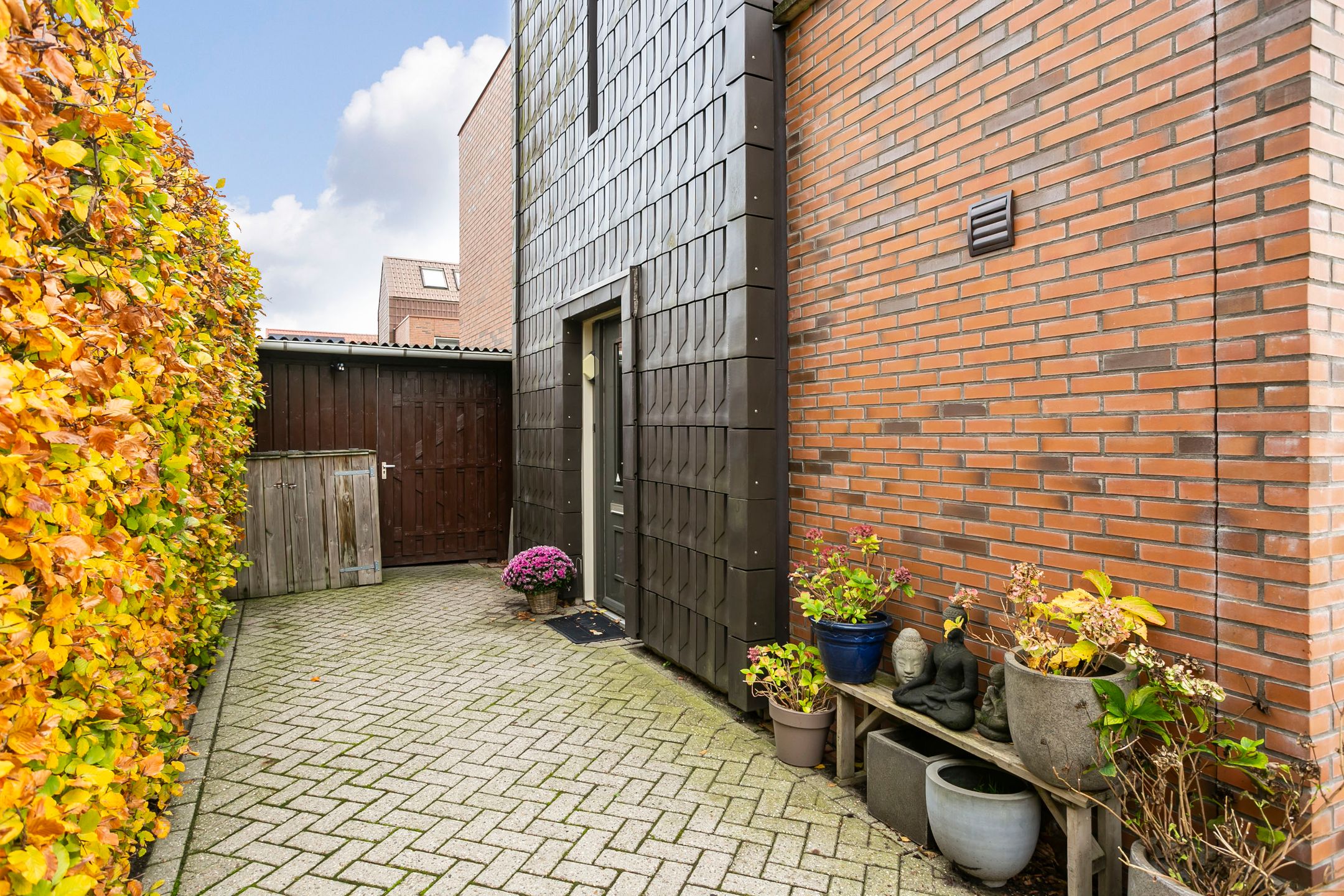 Foto 6 van Citroenvlinder 25