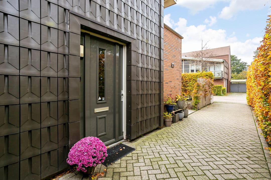 Foto 7 van Citroenvlinder 25