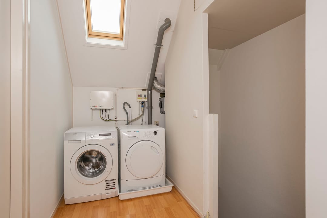 Foto 31 van Citroenvlinder 25