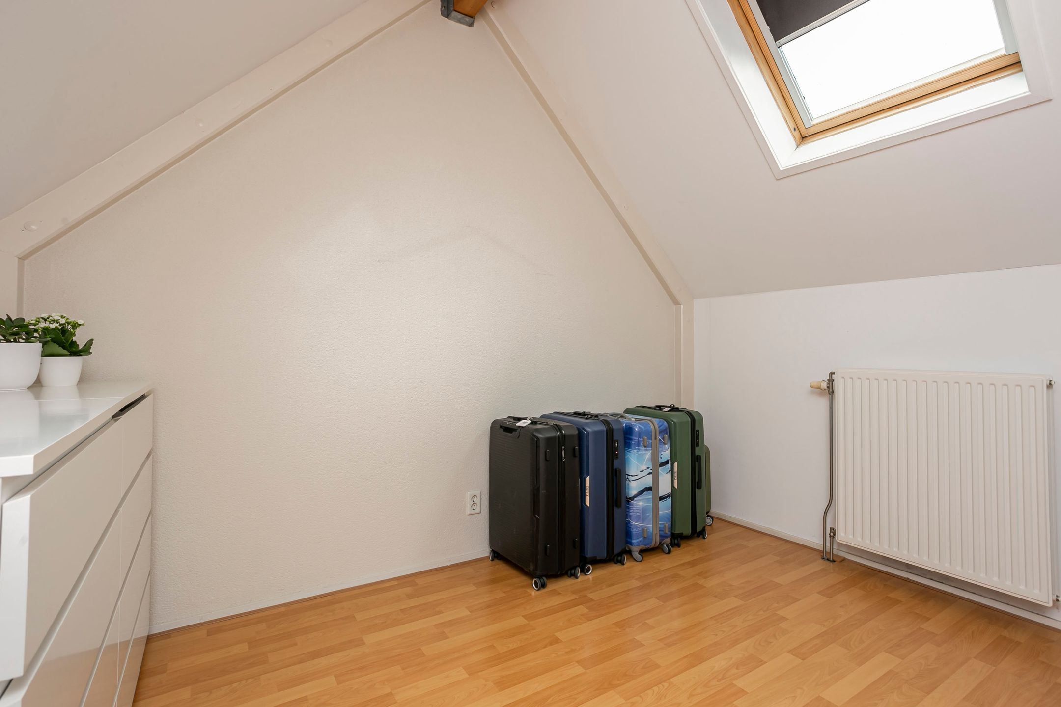 Foto 33 van Citroenvlinder 25