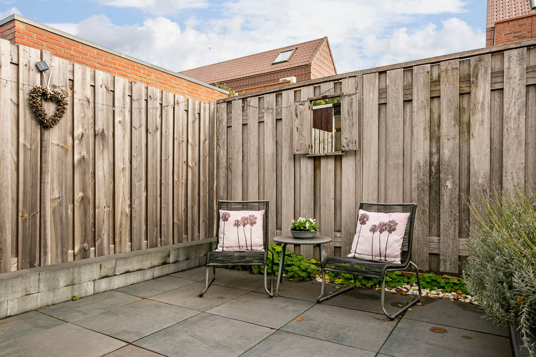 Foto 41 van Citroenvlinder 25