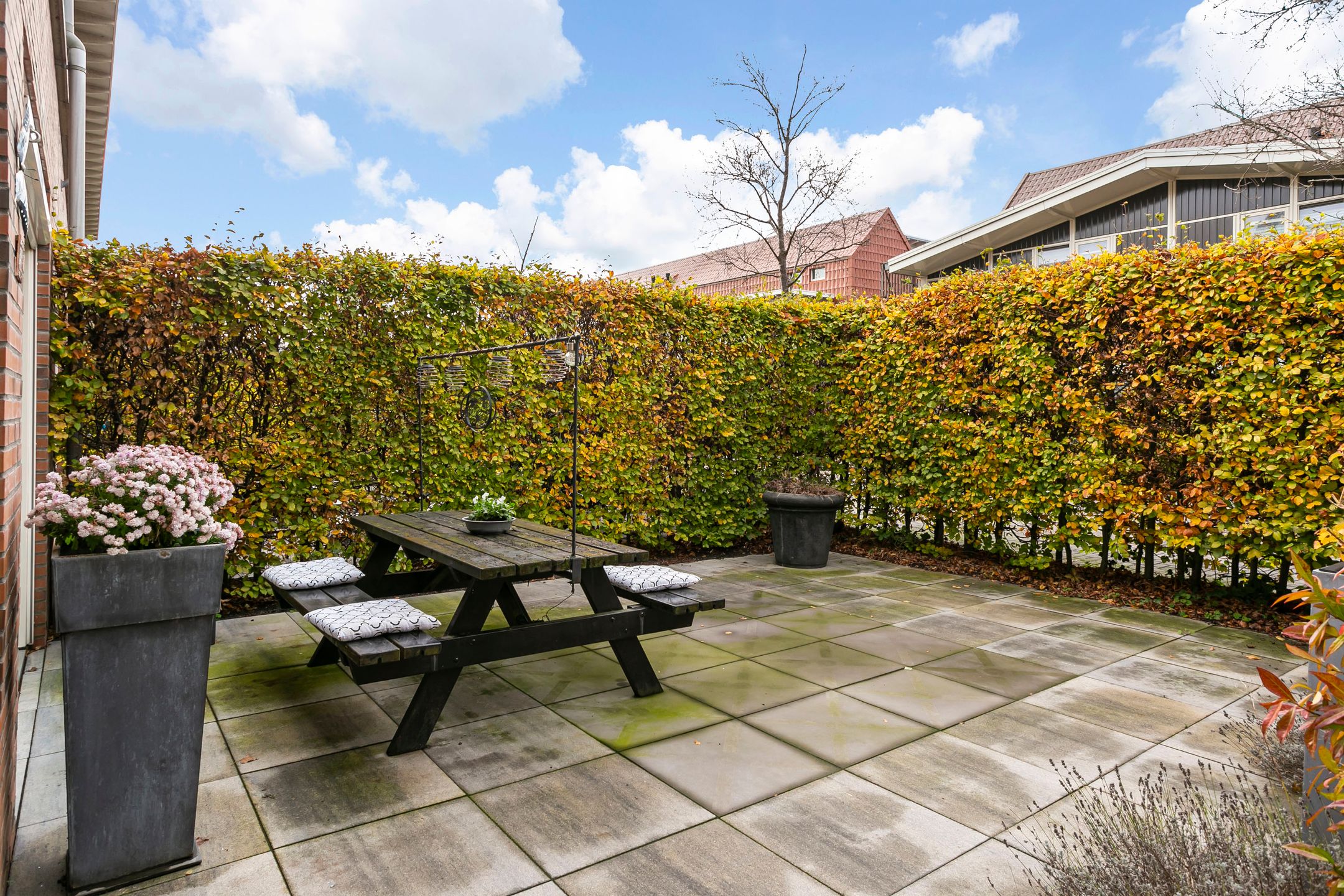 Foto 42 van Citroenvlinder 25