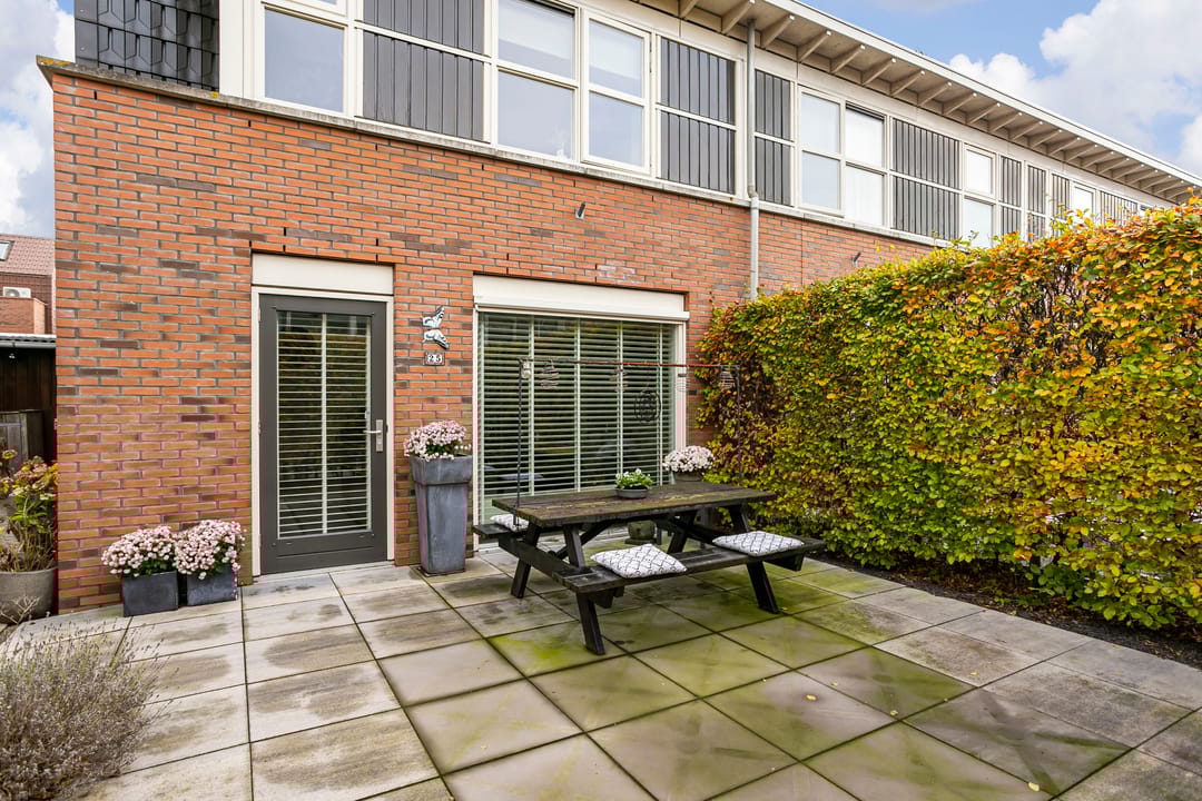 Foto 43 van Citroenvlinder 25