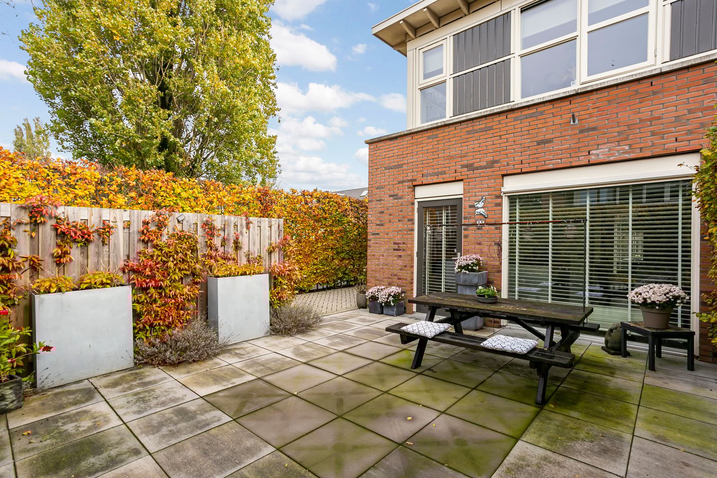 Foto 44 van Citroenvlinder 25