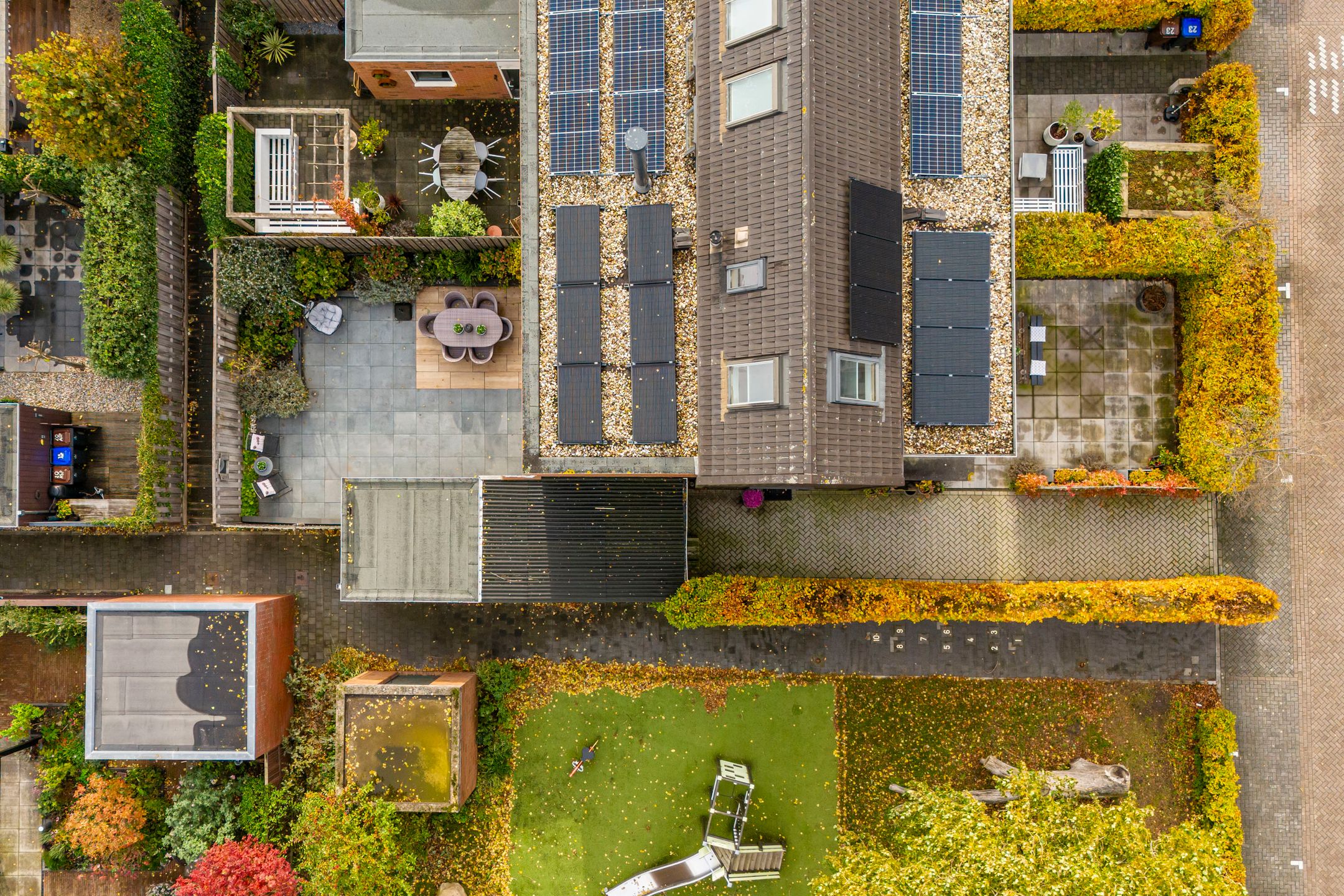 Foto 45 van Citroenvlinder 25