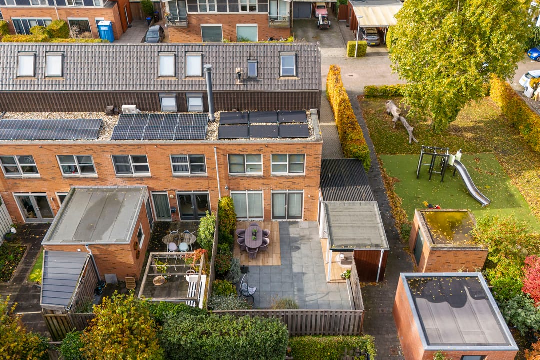 Foto 46 van Citroenvlinder 25