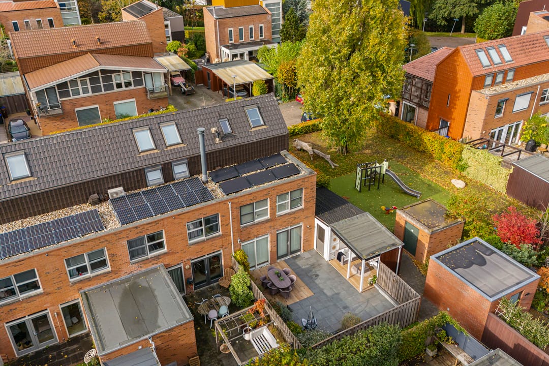 Foto 47 van Citroenvlinder 25